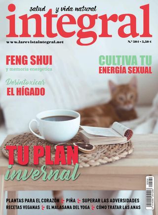 INTEGRAL