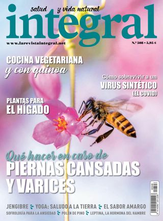 INTEGRAL