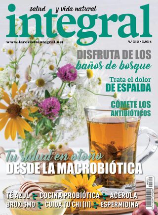 INTEGRAL