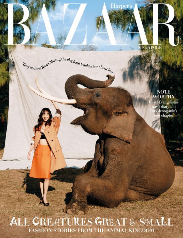 Harper's BAZAAR Singapore