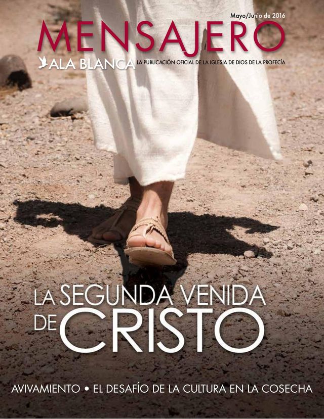 Mensajero Ala Blanca