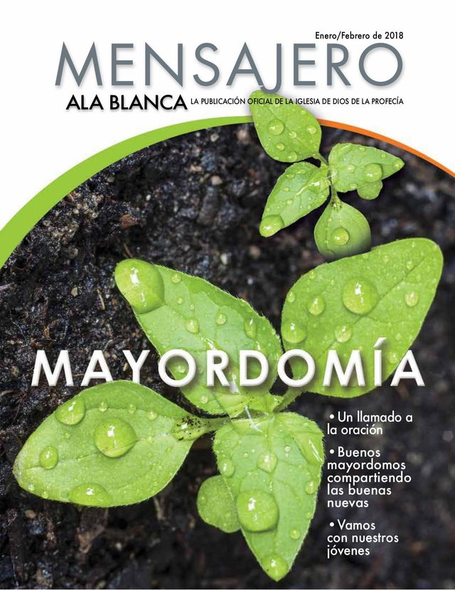 Mensajero Ala Blanca