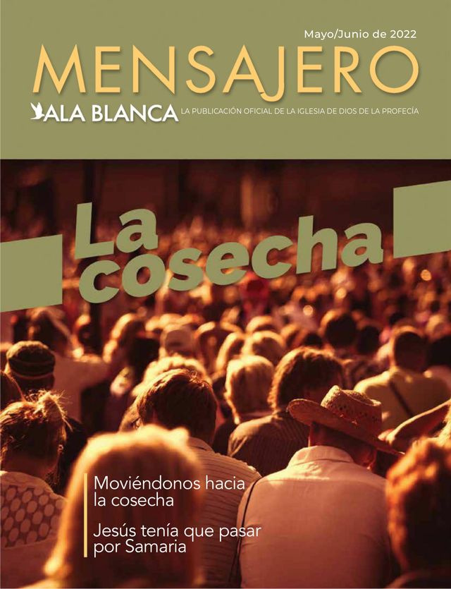 Mensajero Ala Blanca