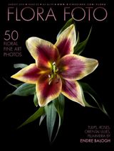 Issue 3