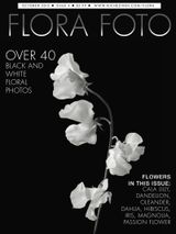 Issue 4