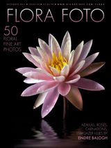 Issue 5