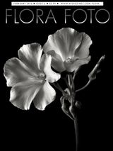 Issue 6