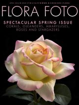 Issue 7