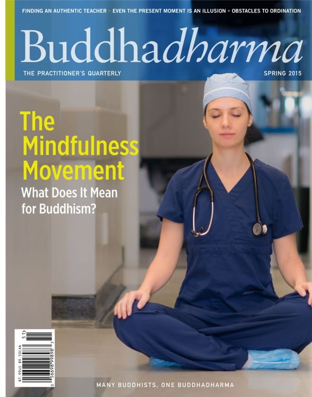Buddhadharma: The Practitioner's Quarterly