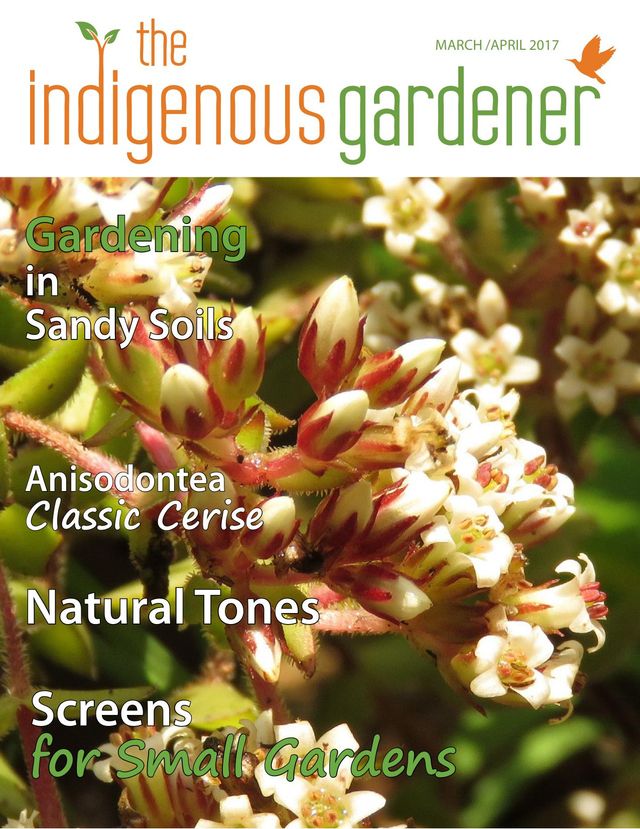 The Indigenous Gardener