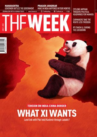 THE WEEK