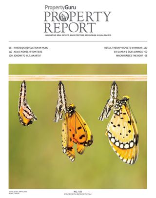 Property Report