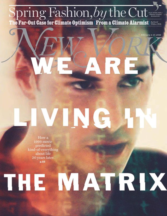New York magazine