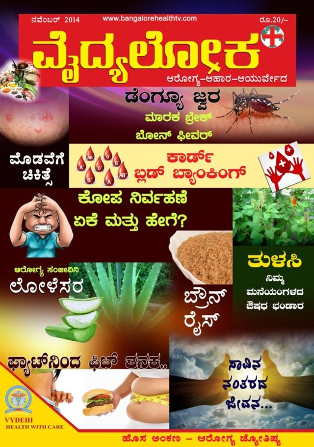Vydyaloka