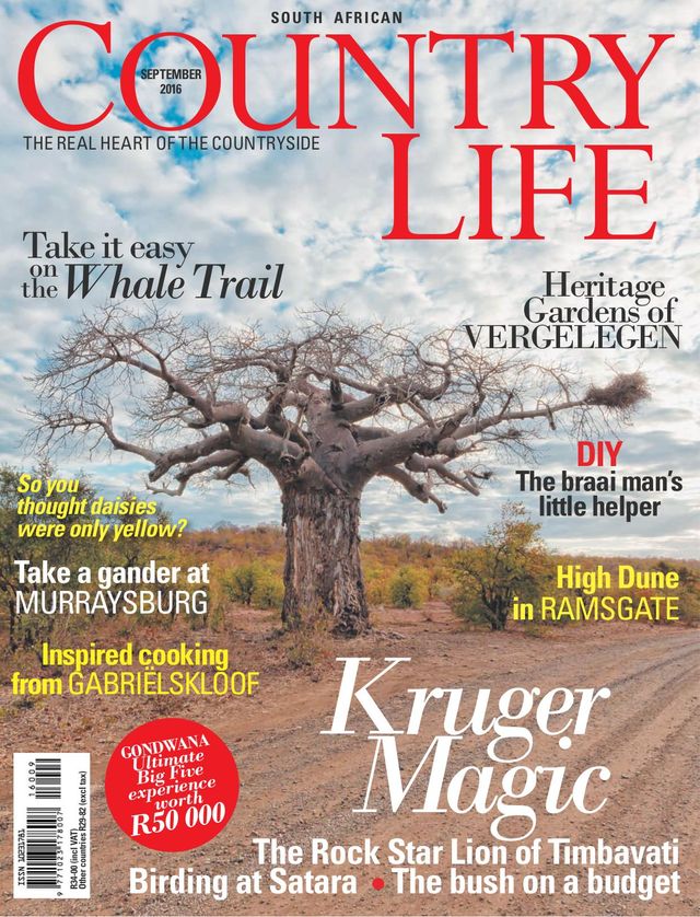 SA Country Life