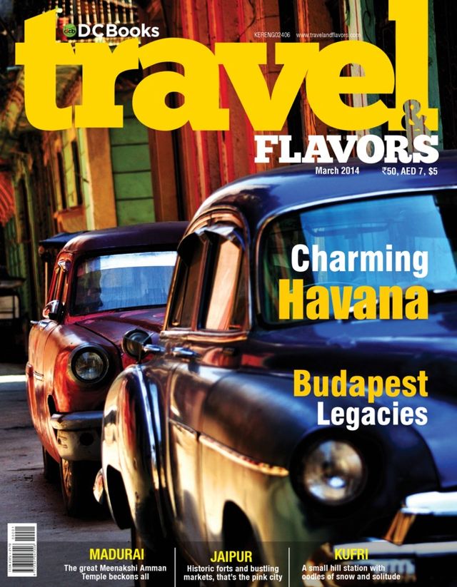 Travel and Flavors