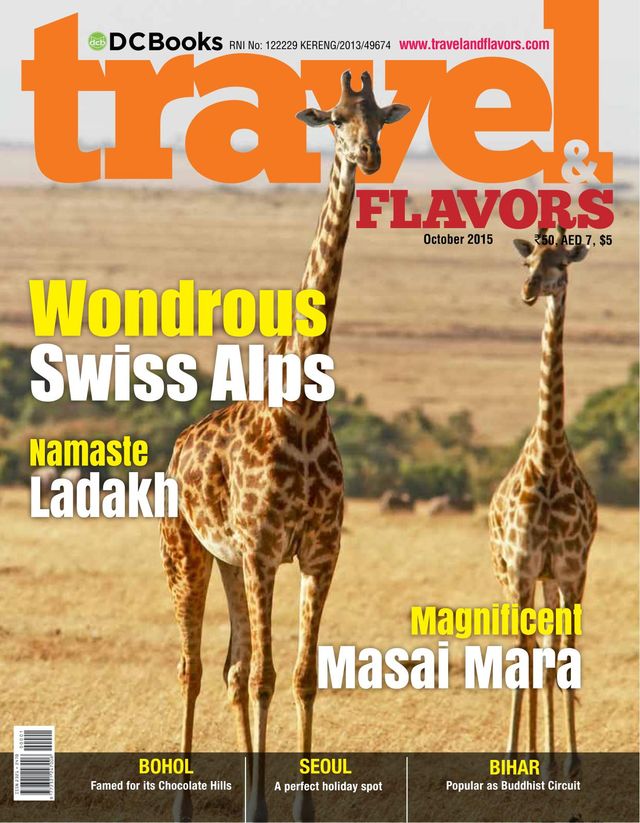 Travel and Flavors