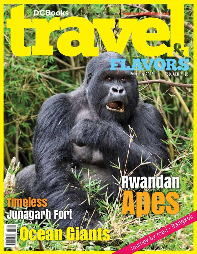 Travel and Flavors