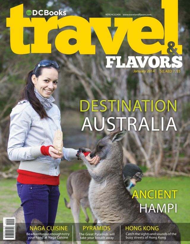 Travel and Flavors