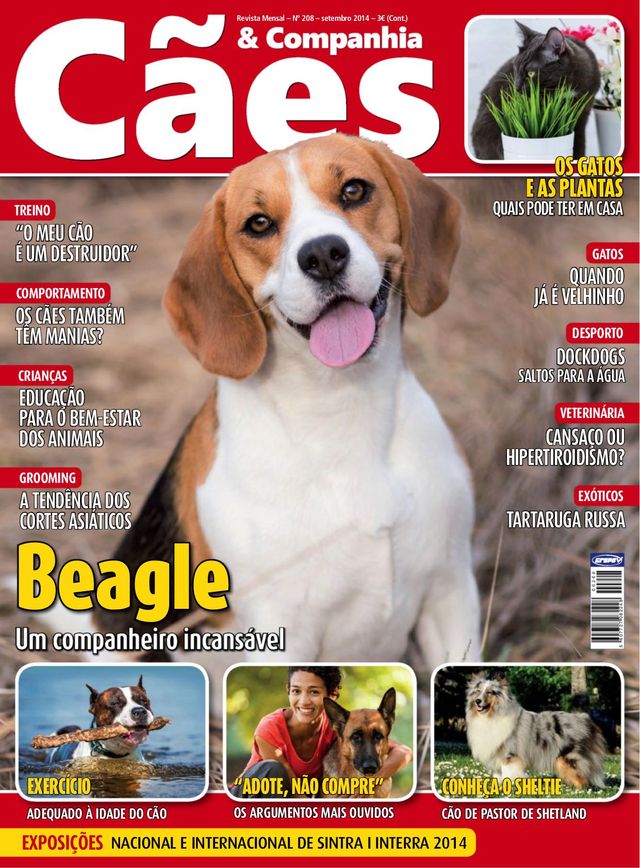 Cães & Companhia