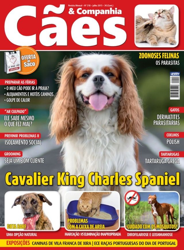 Mit Magzter GOLD unbegrenztes Potenzial nutzen