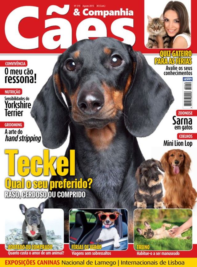 Cães & Companhia
