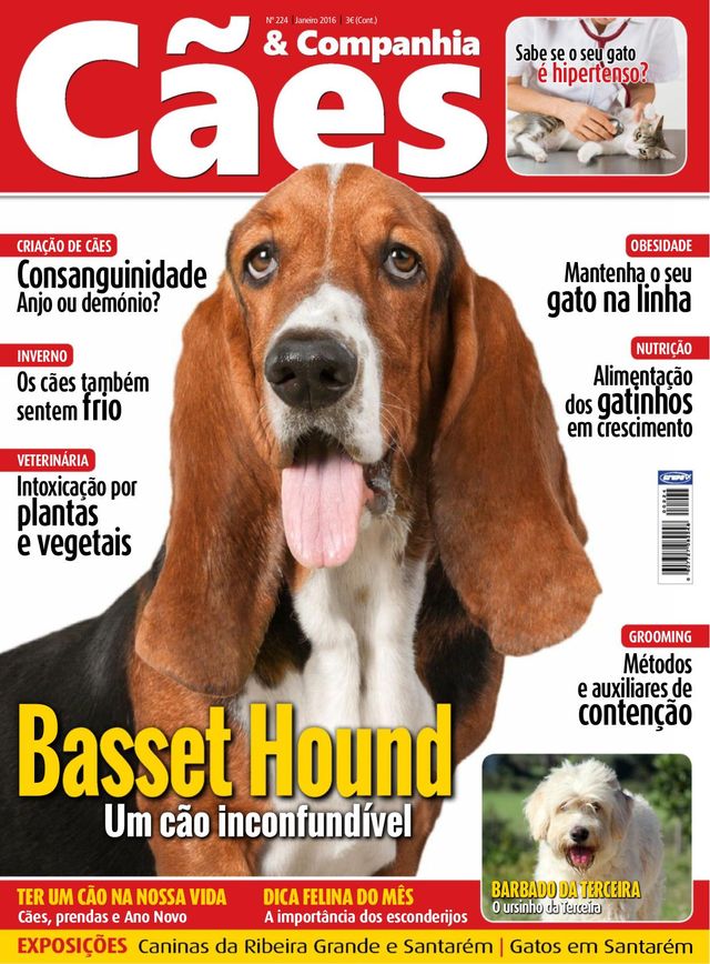 Cães & Companhia