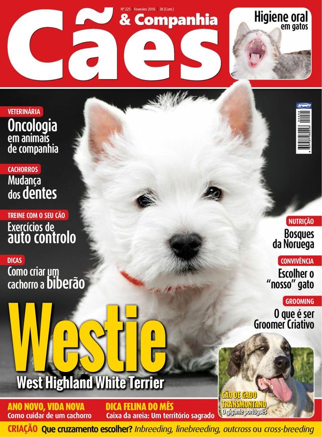 Cães & Companhia