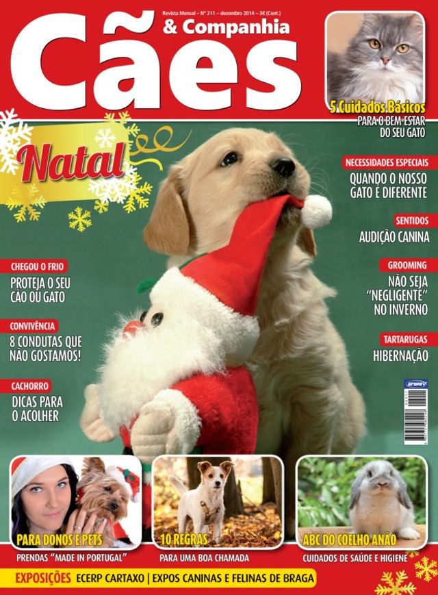 Cães & Companhia