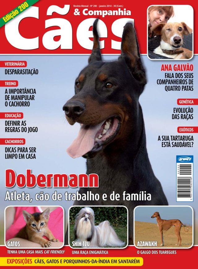 Cães & Companhia