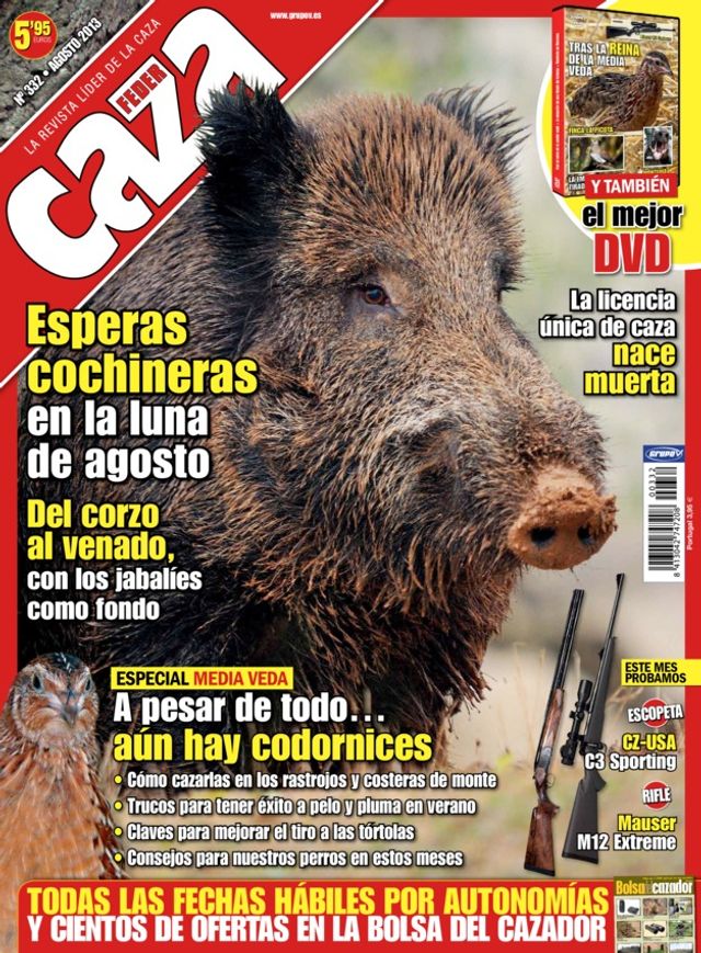Feder Caza