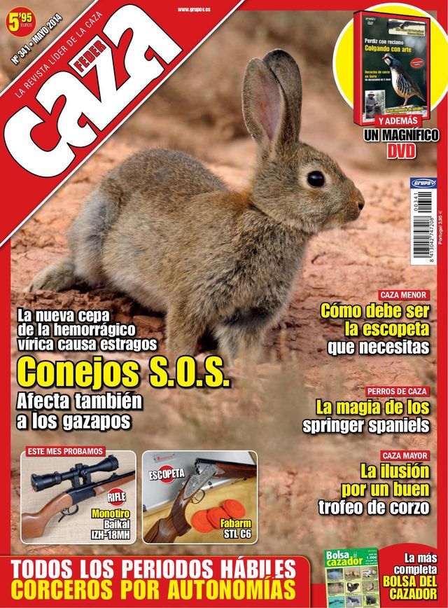 Feder Caza