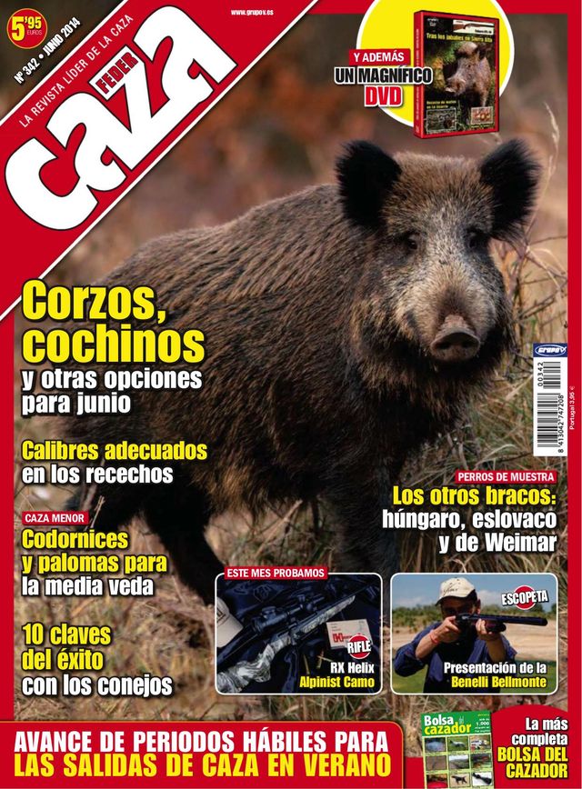 Feder Caza