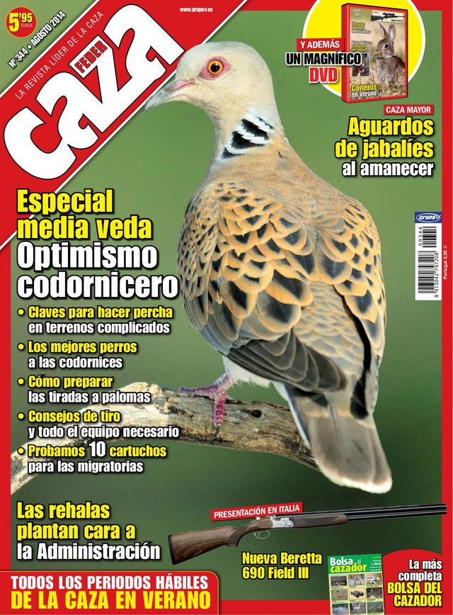 Feder Caza