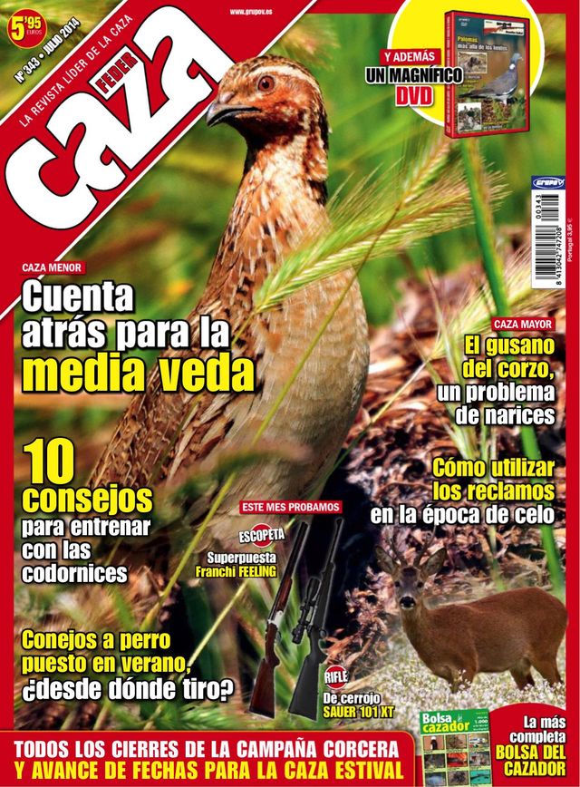 Feder Caza