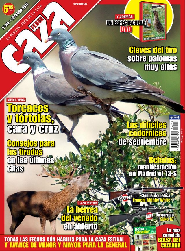 Feder Caza