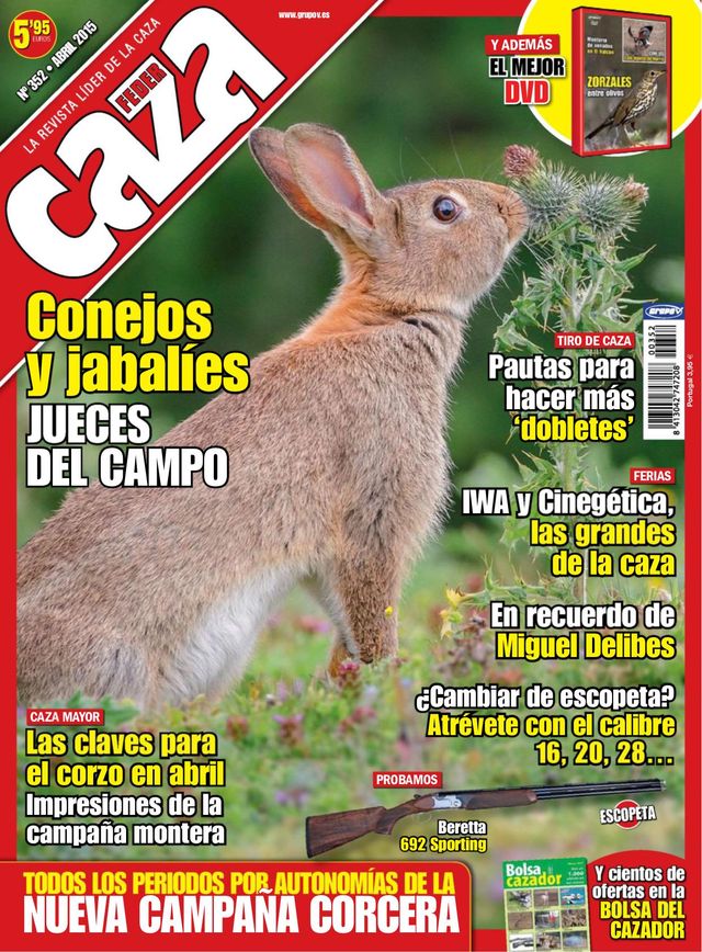 Feder Caza
