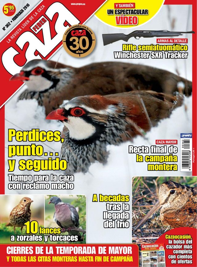 Feder Caza