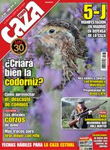 Feder Caza - Junio 2016 - ¿Criará bien la codorniz? Junio 2016 - ¿Criará bien la codorniz?