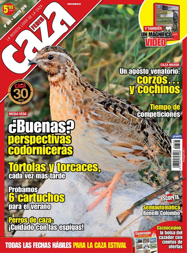 Feder Caza