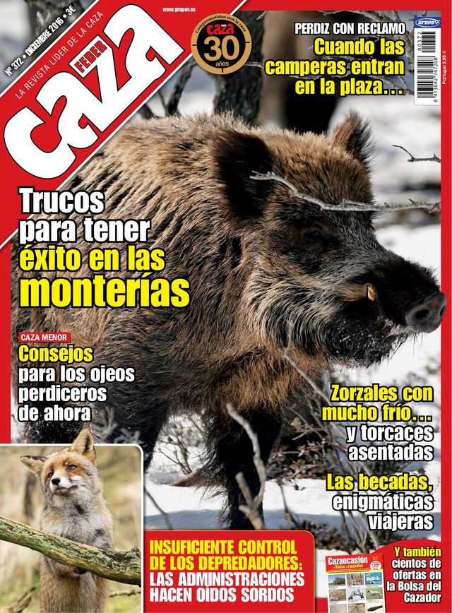 Feder Caza