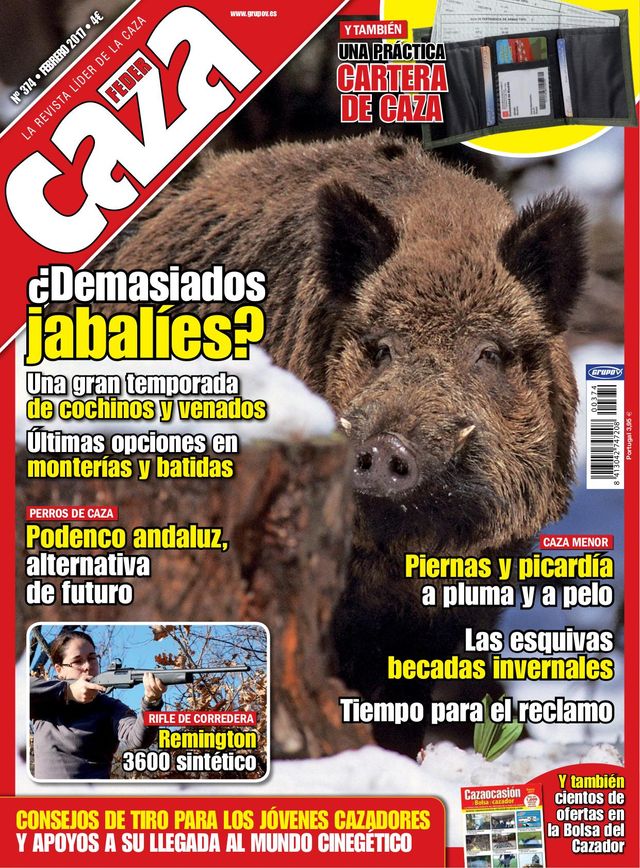 Feder Caza