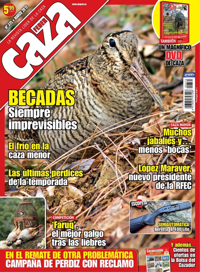 Feder Caza