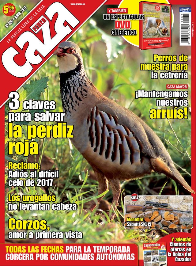 Feder Caza
