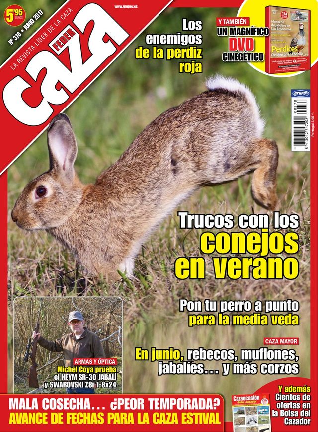 Feder Caza