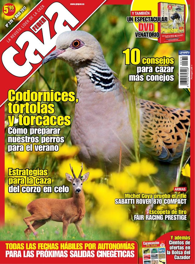 Feder Caza