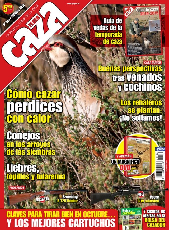 Feder Caza