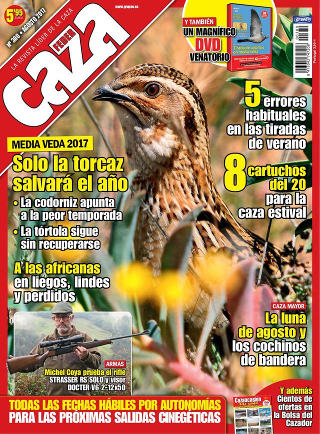 Feder Caza