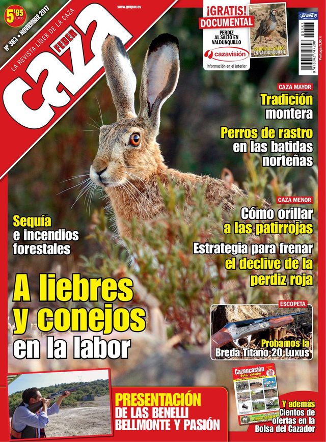 Feder Caza