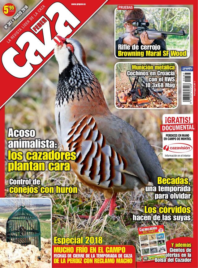Feder Caza